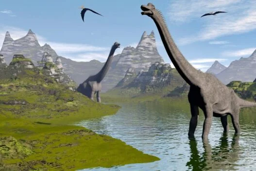 Brachiosaurus