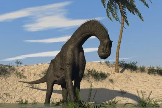 Brontosaurus