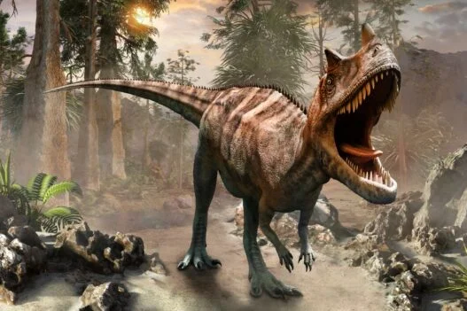 Ceratosaurus
