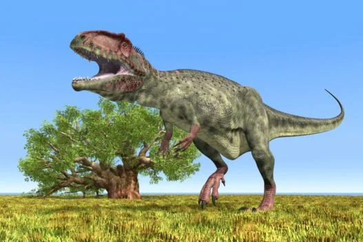 Giganotosaurus