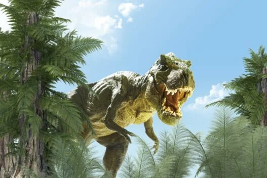 Tyrannosaurus Rex